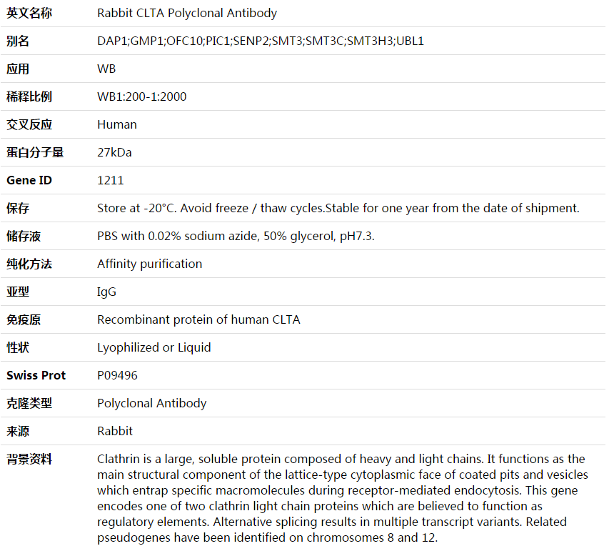 CLTA Antibody,索莱宝,K003701P-50ul