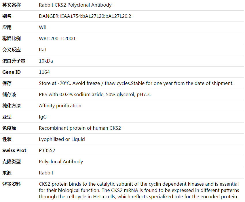 CKS2 Antibody,索莱宝,K003699P-50ul