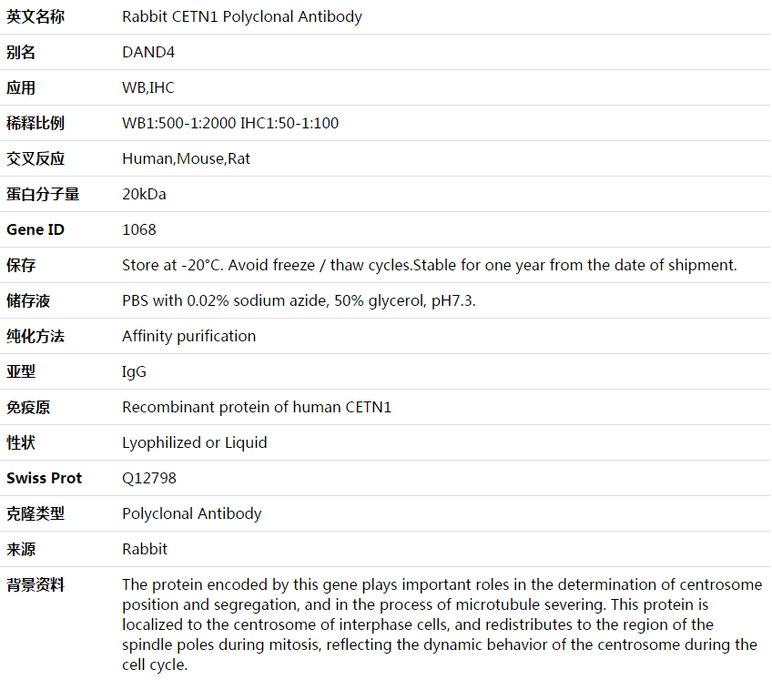 CETN1 Antibody,索莱宝,K003698P-50ul