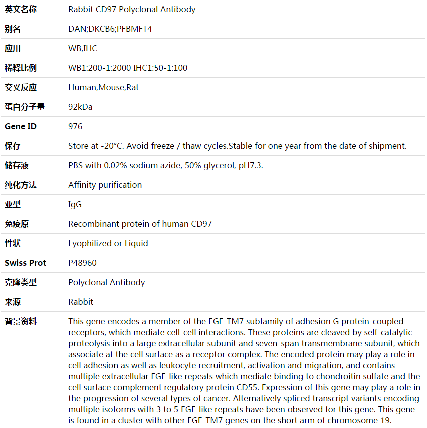 CD97 Antibody,索莱宝,K003697P-100ul