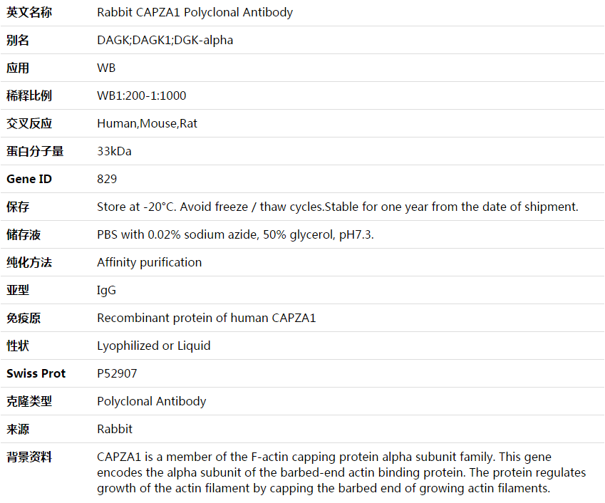 CAPZA1 Antibody,索莱宝,K003695P-50ul