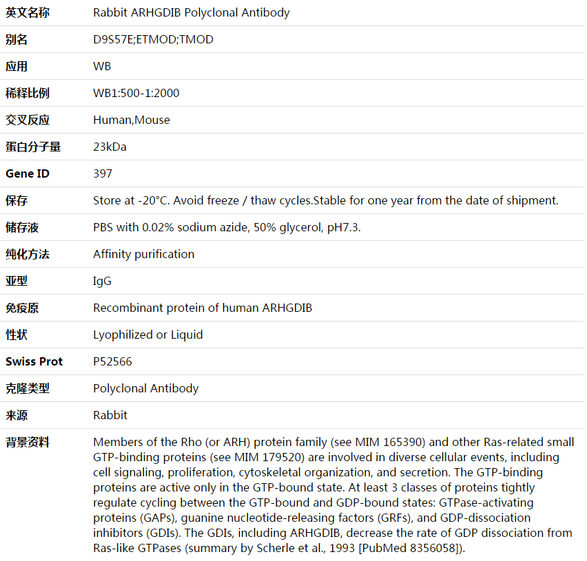 ARHGDIB Antibody,索莱宝,K003691P-50ul