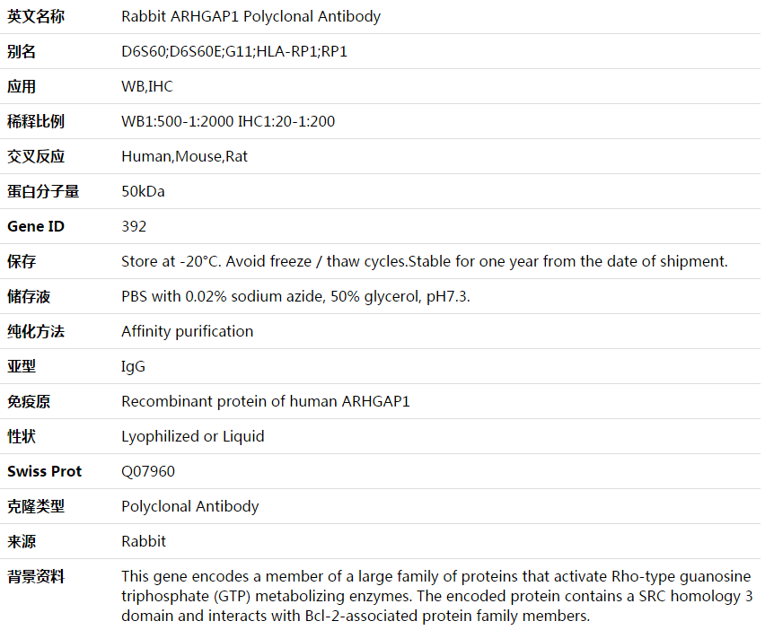 ARHGAP1 Antibody,索莱宝,K003690P-50ul