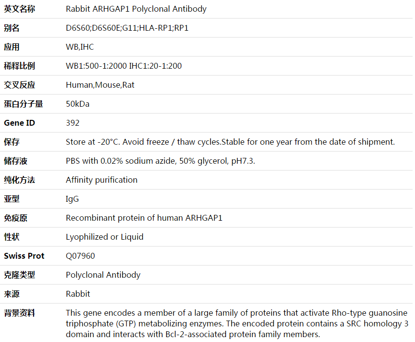 ARHGAP1 Antibody,索莱宝,K003690P-100ul