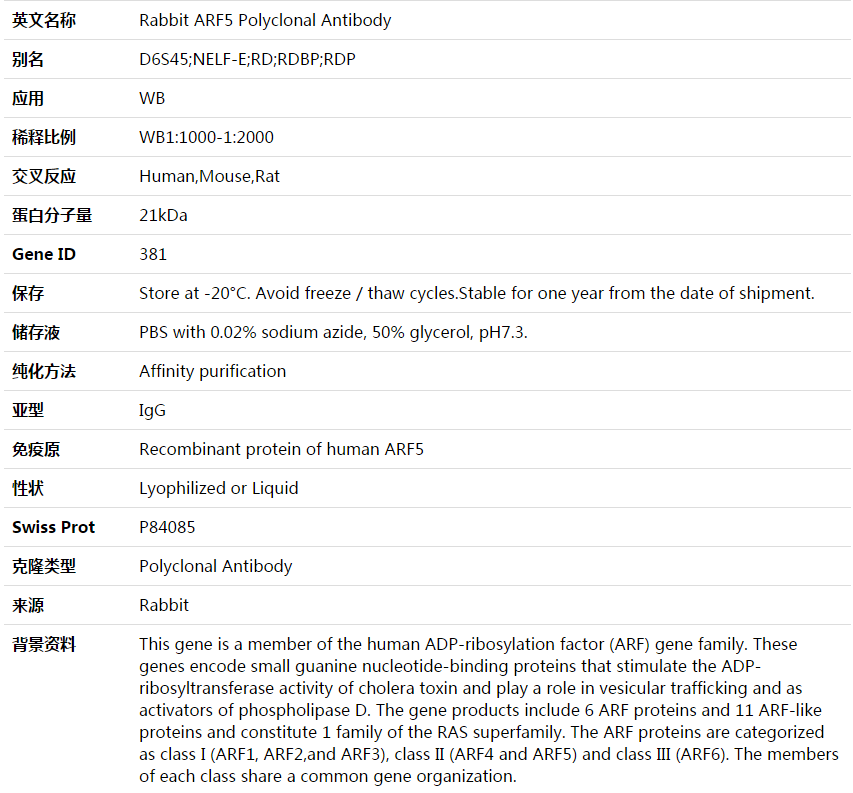 ARF5 Antibody,索莱宝,K003689P-50ul