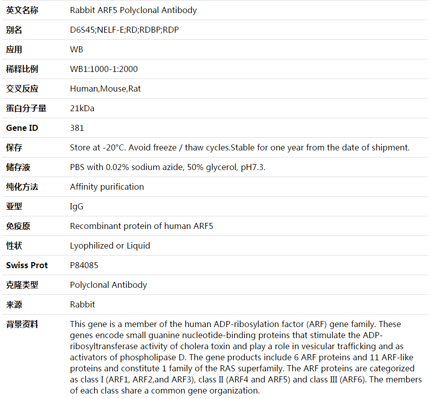 ARF5 Antibody,索莱宝,K003689P-100ul