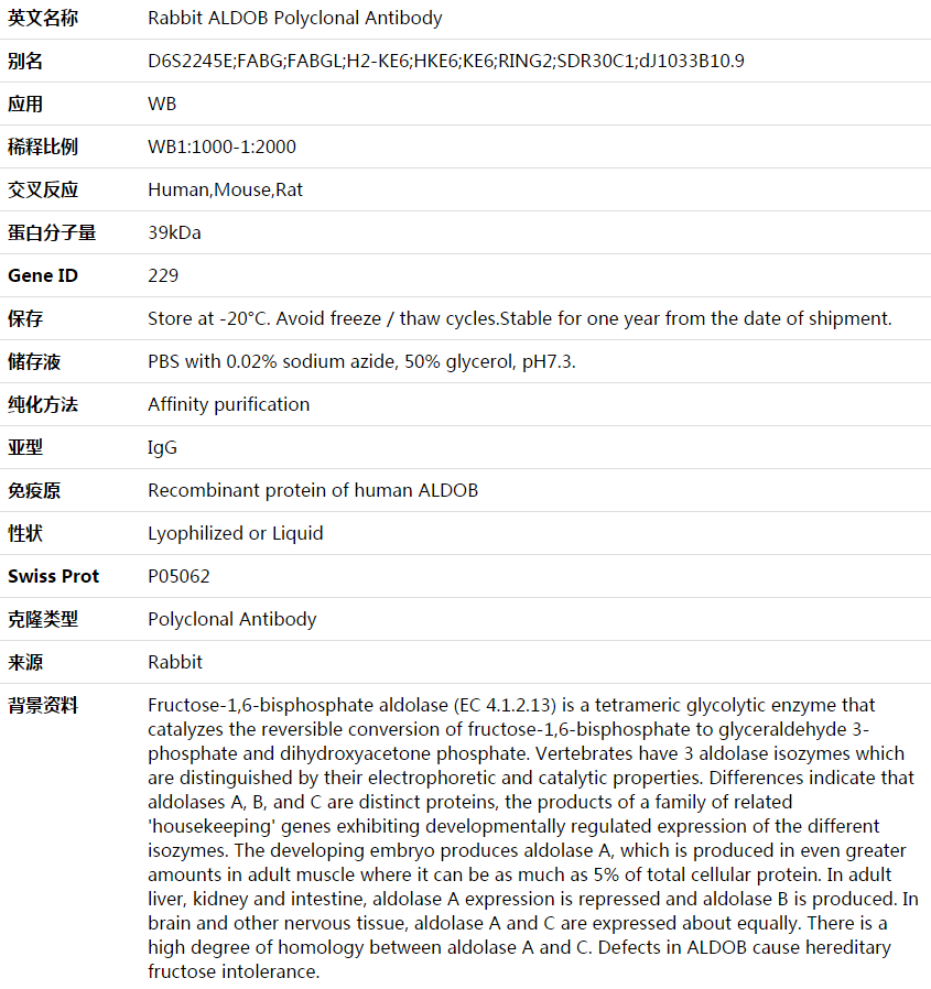 ALDOB Antibody,索莱宝,K003688P-100ul