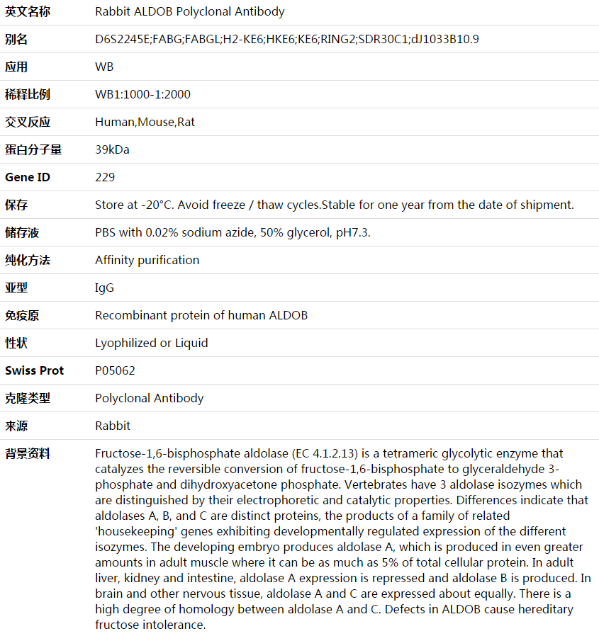 ALDOB Antibody,索莱宝,K003688P-50ul