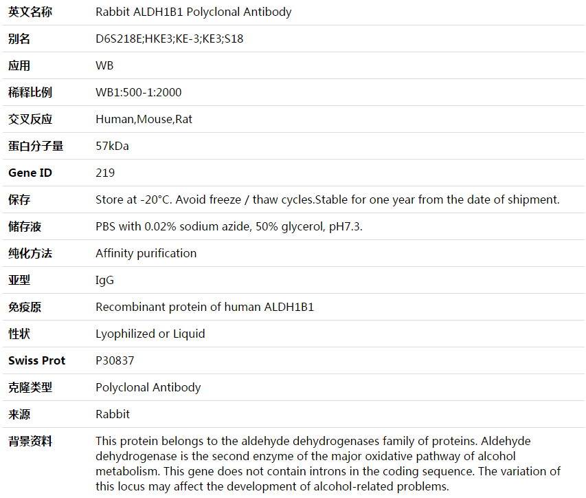 ALDH1B1 Antibody,索莱宝,K003687P-100ul