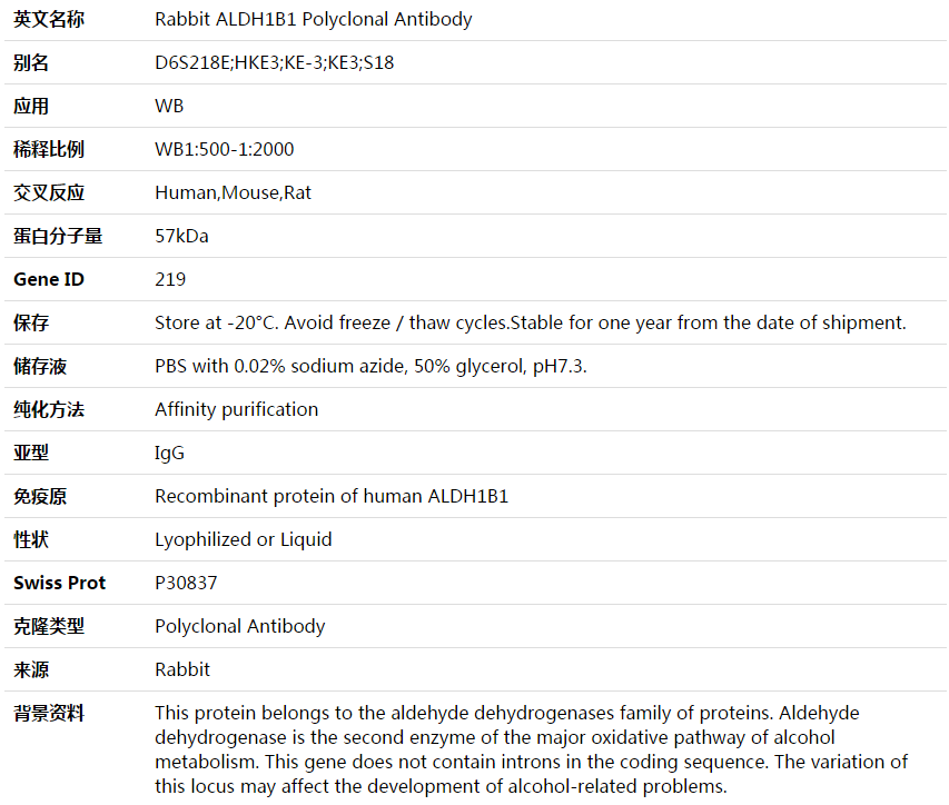 ALDH1B1 Antibody,索莱宝,K003687P-50ul