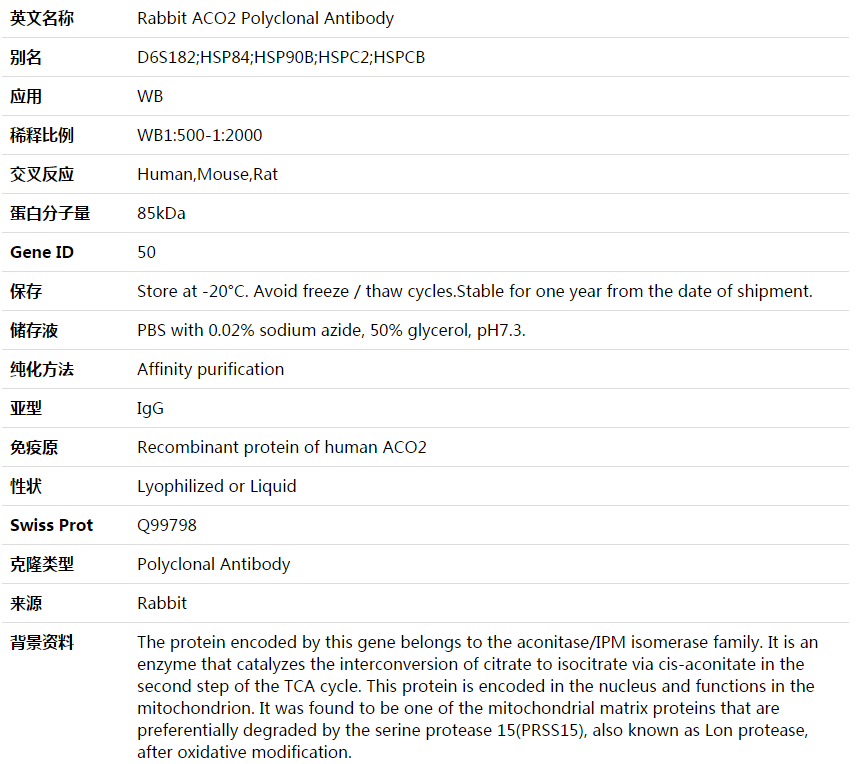 ACO2 Antibody,索莱宝,K003685P-50ul