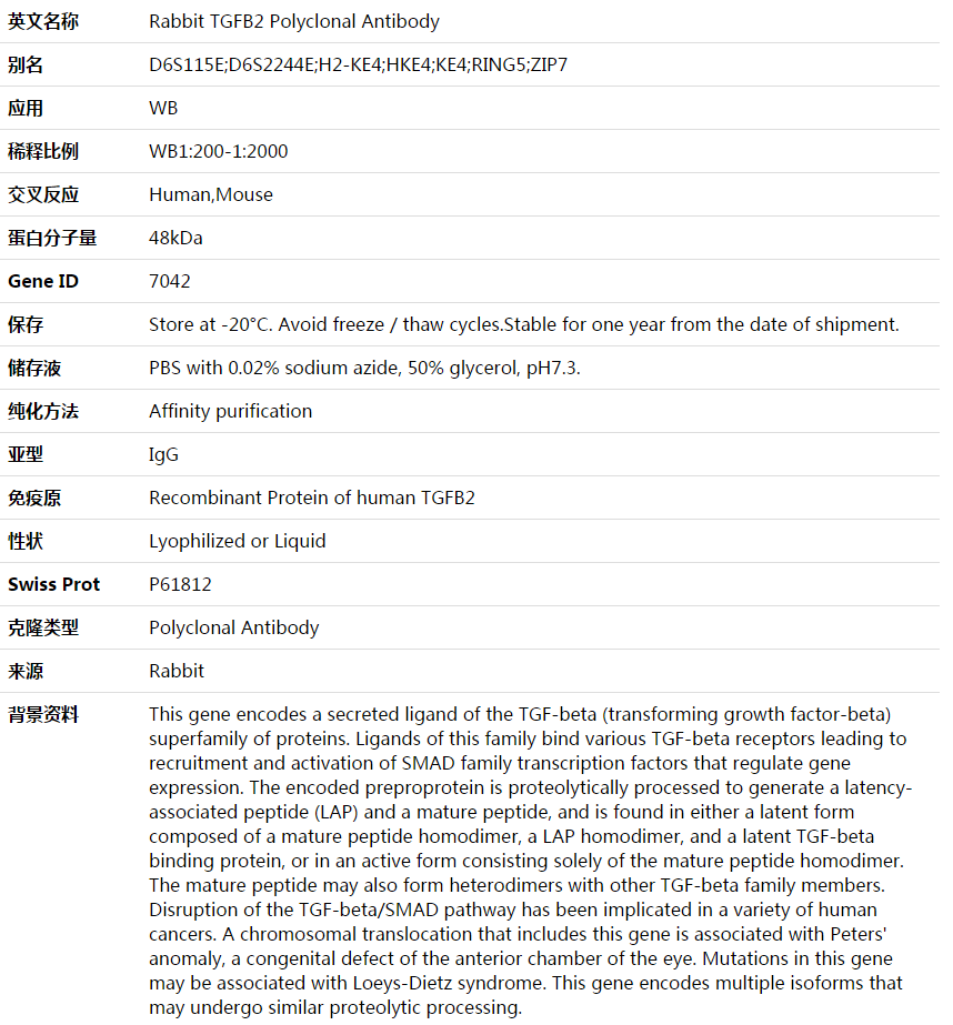 TGFB2 Antibody,索莱宝,K003684P-30ul