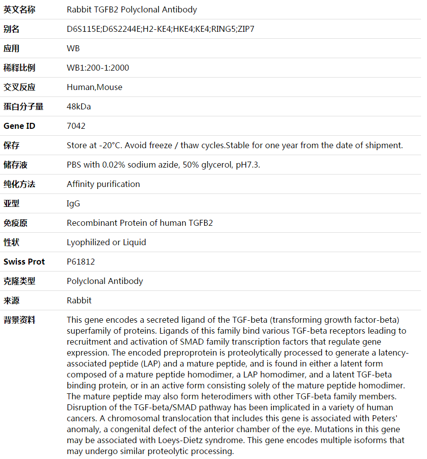 TGFB2 Antibody,索莱宝,K003684P-50ul