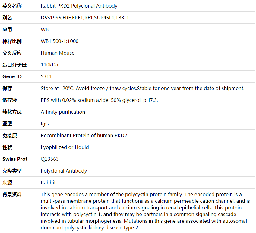 PKD2 Antibody,索莱宝,K003681P-50ul