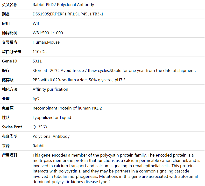 PKD2 Antibody,索莱宝,K003681P-100ul