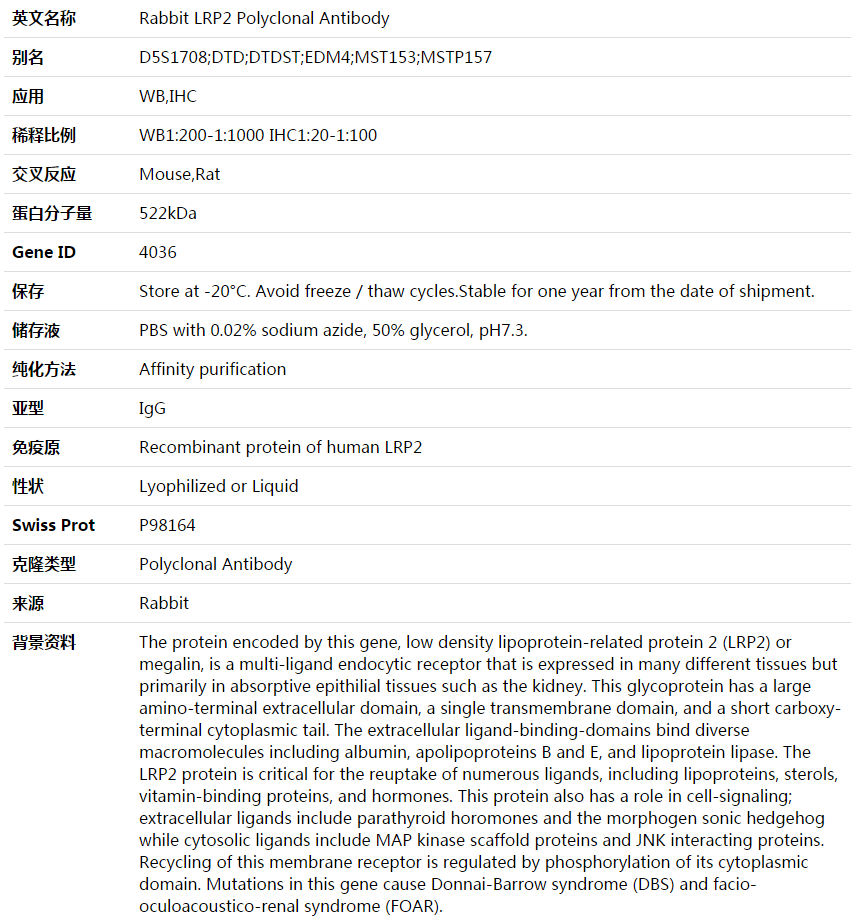 LRP2 Antibody,索莱宝,K003680P-50ul