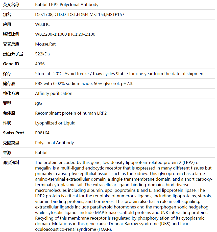 LRP2 Antibody,索莱宝,K003680P-100ul