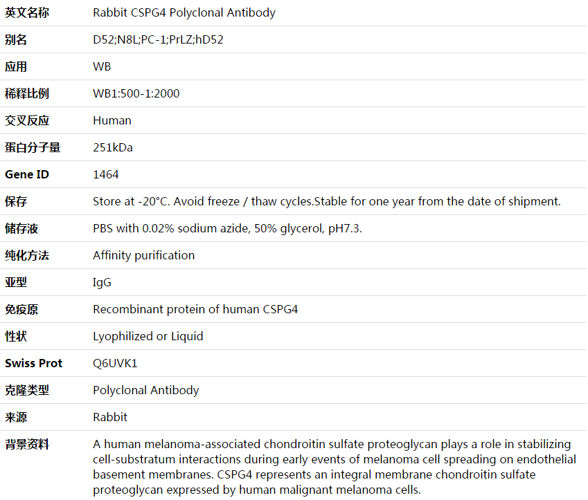 CSPG4 Antibody,索莱宝,K003678P-50ul