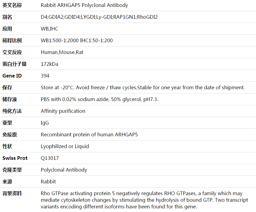 ARHGAP5 Antibody,索莱宝,K003676P-50ul