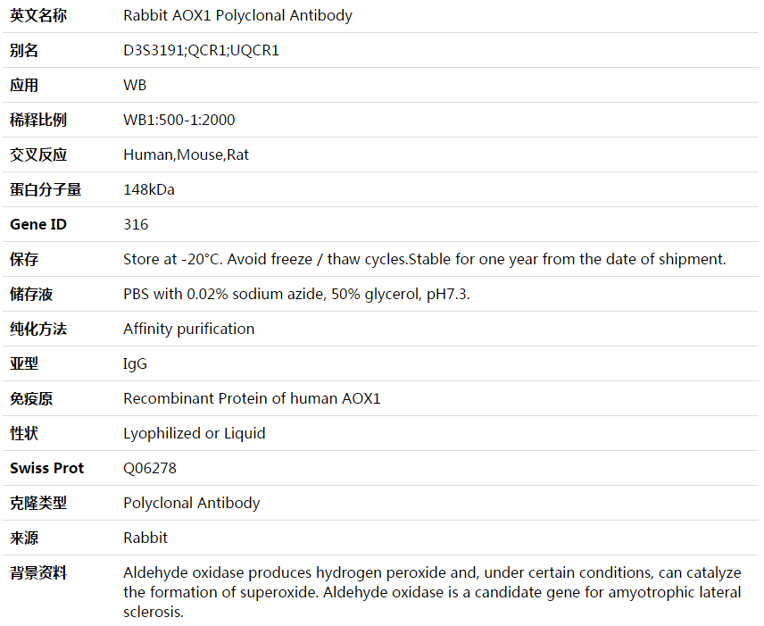 AOX1 Antibody,索莱宝,K003675P-100ul