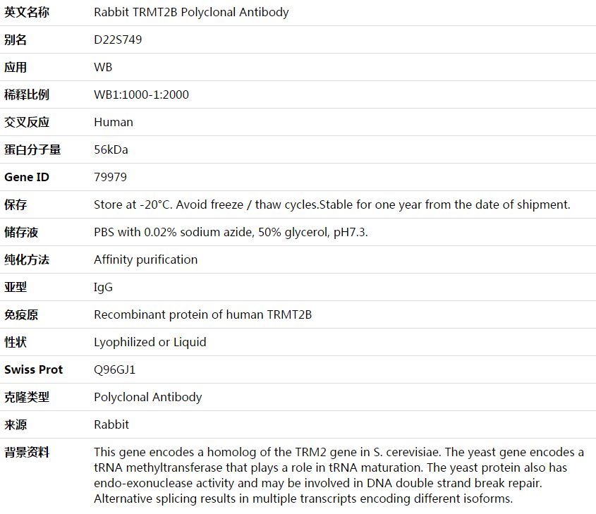 TRMT2B Antibody,索莱宝,K003669P-100ul