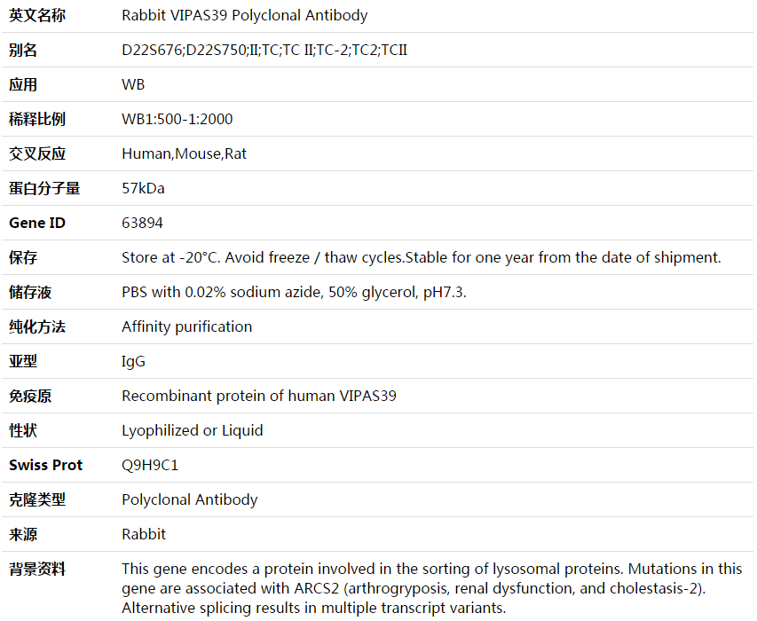 VIPAS39 Antibody,索莱宝,K003668P-100ul