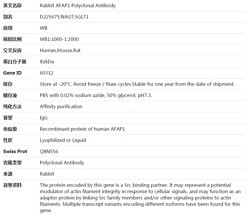 AFAP1 Antibody,索莱宝,K003667P-50ul