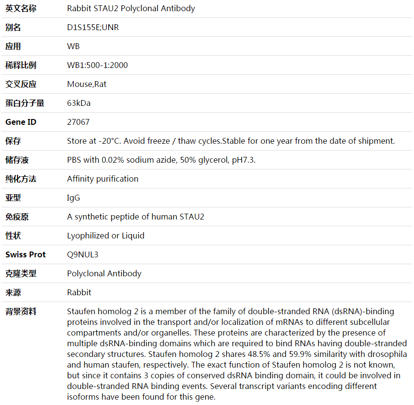 STAU2 Antibody,索莱宝,K003663P-100ul