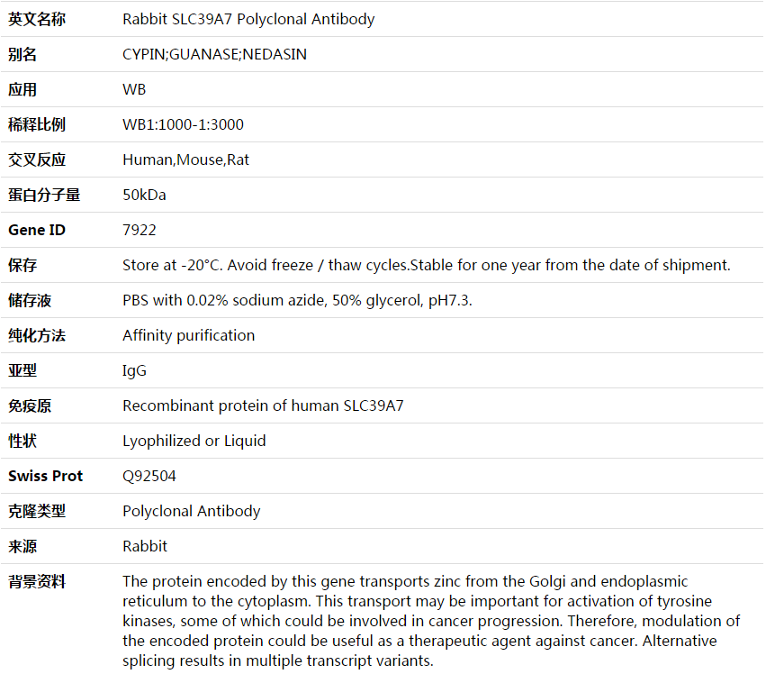 SLC39A7 Antibody,索莱宝,K003655P-50ul
