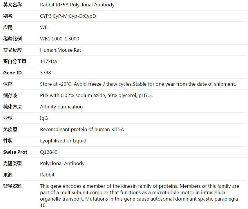 KIF5A Antibody,索莱宝,K003650P-100ul