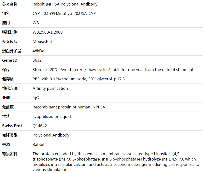 INPP5A Antibody,索莱宝,K003649P-50ul