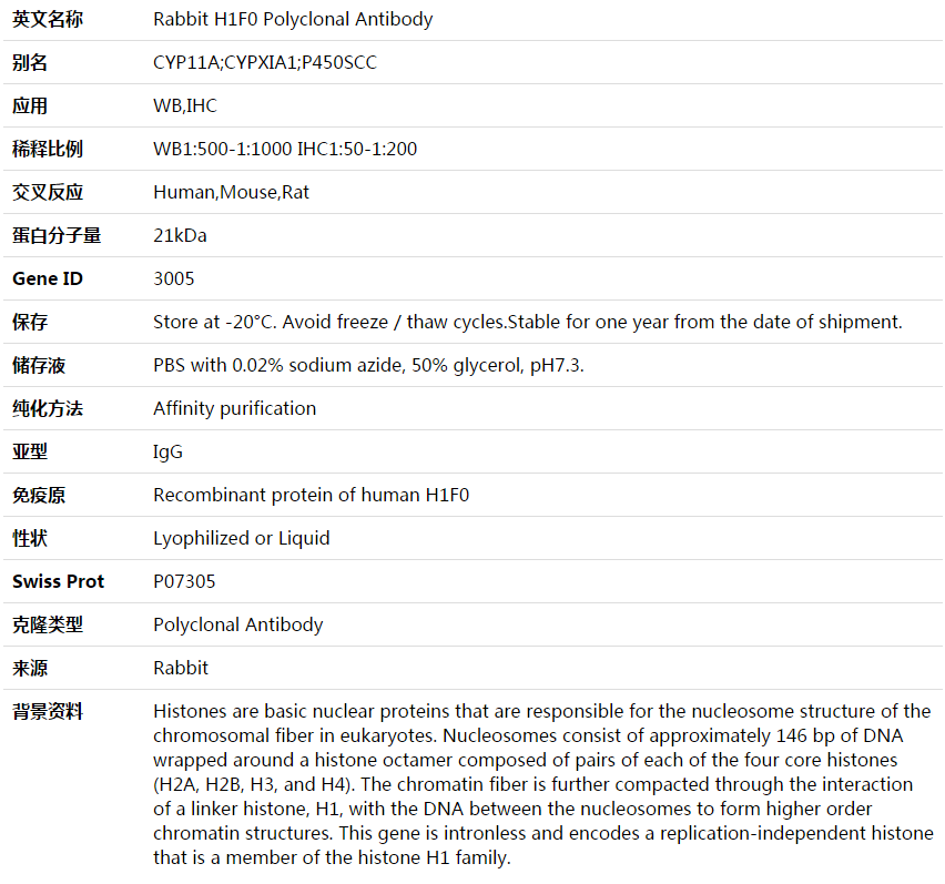 H1F0 Antibody,索莱宝,K003648P-100ul