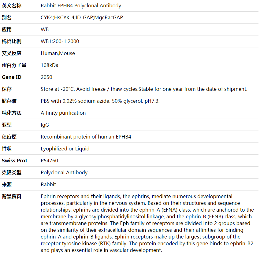 EPHB4 Antibody,索莱宝,K003647P-50ul