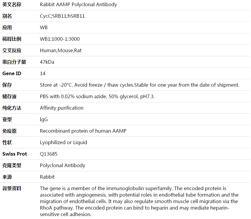 AAMP Antibody,索莱宝,K003645P-50ul