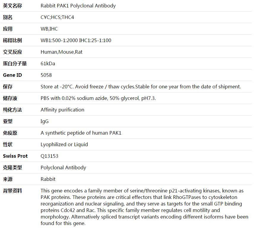 PAK1 Antibody,索莱宝,K003644P-50ul