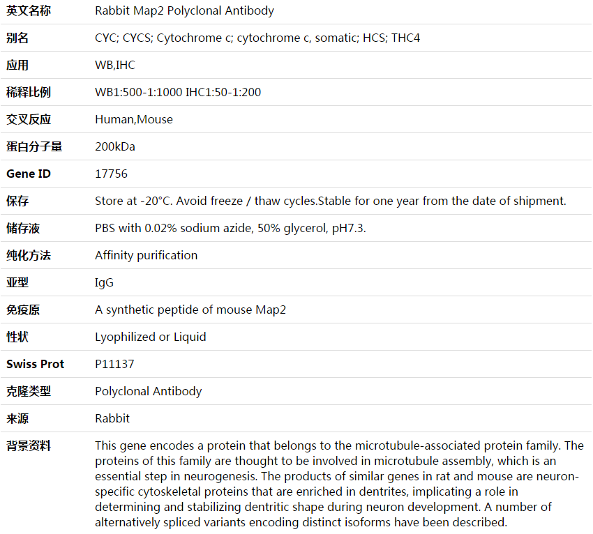 Map2 Antibody,索莱宝,K003643P-50ul
