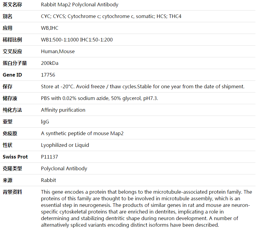 Map2 Antibody,索莱宝,K003643P-100ul