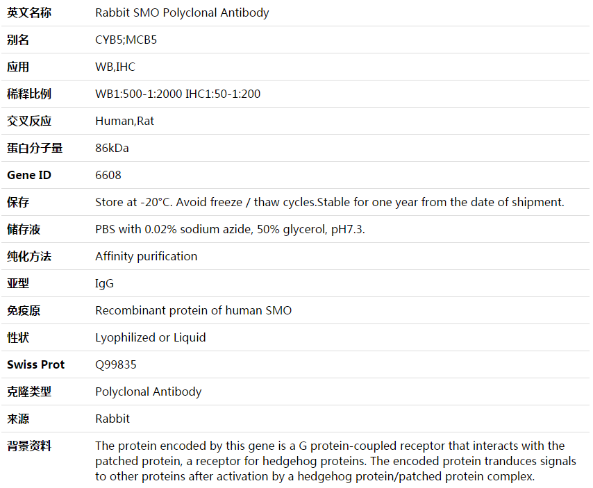 SMO Antibody,索莱宝,K003642P-100ul