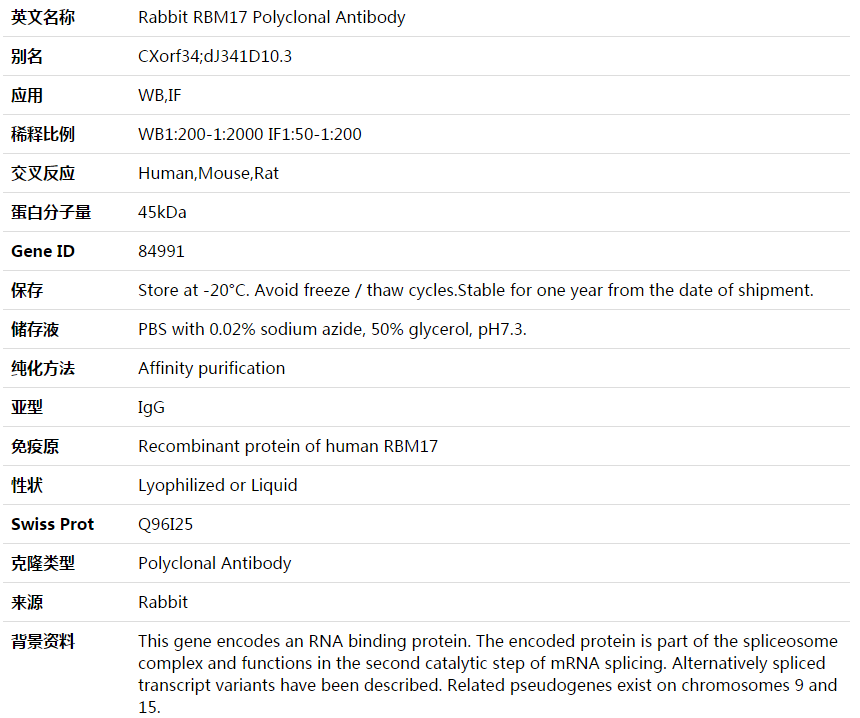 RBM17 Antibody,索莱宝,K003639P-100ul