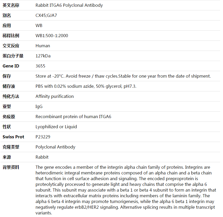 ITGA6 Antibody,索莱宝,K003638P-100ul