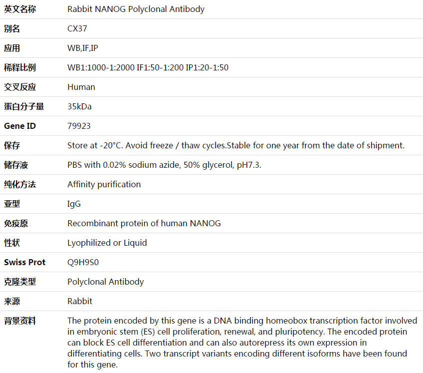 NANOG Antibody,索莱宝,K003637P-100ul