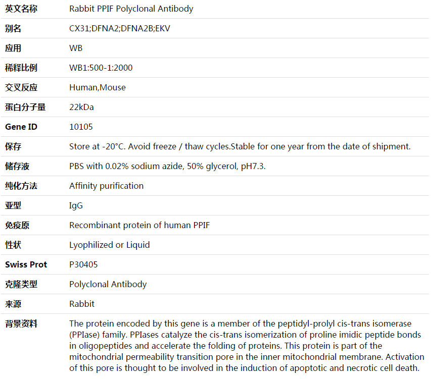 PPIF Antibody,索莱宝,K003635P-100ul
