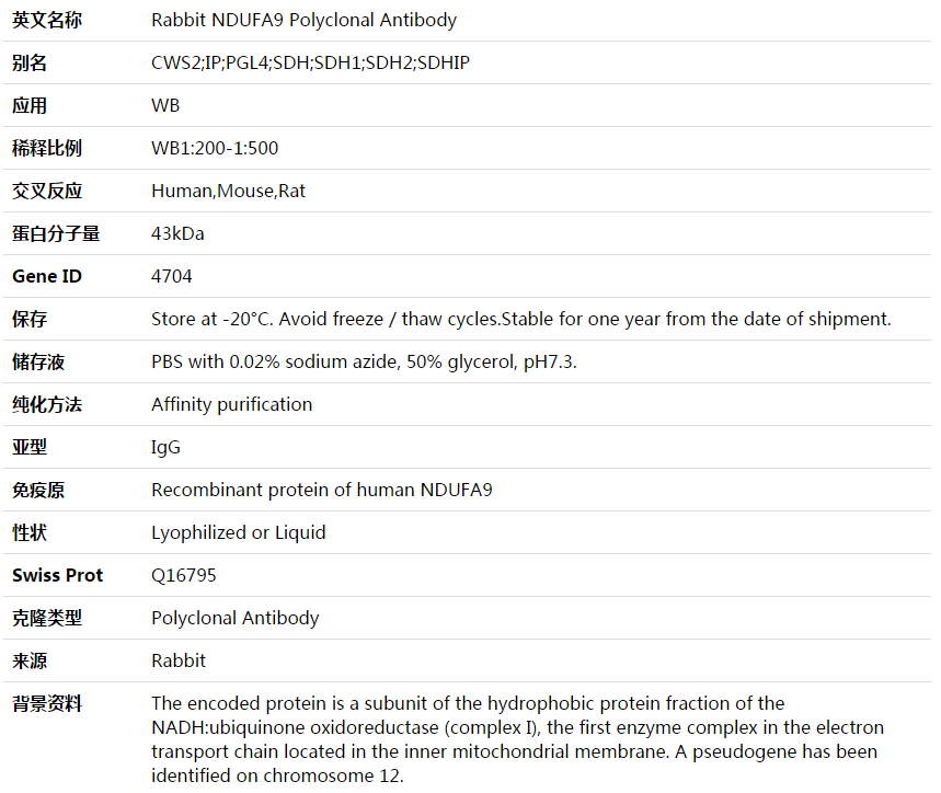 NDUFA9 Antibody,索莱宝,K003633P-100ul
