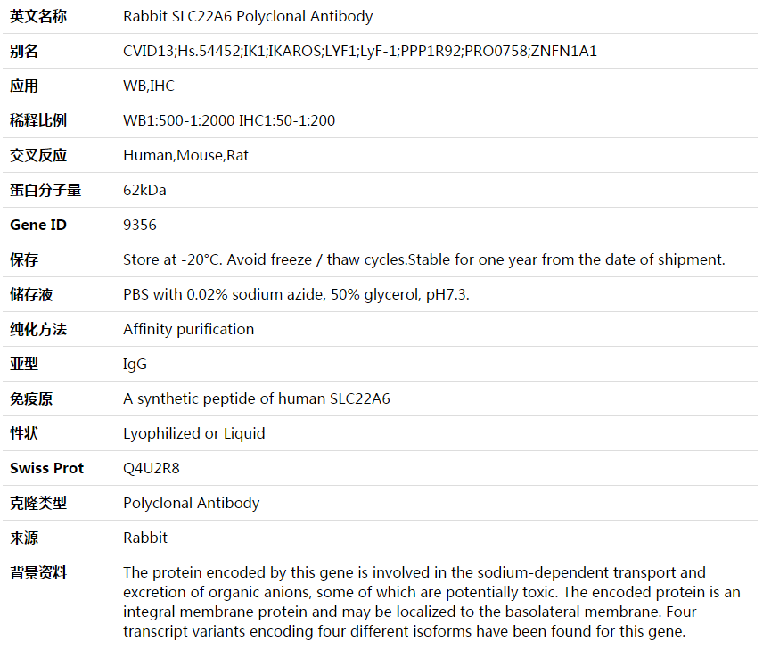 SLC22A6 Antibody,索莱宝,K003628P-100ul