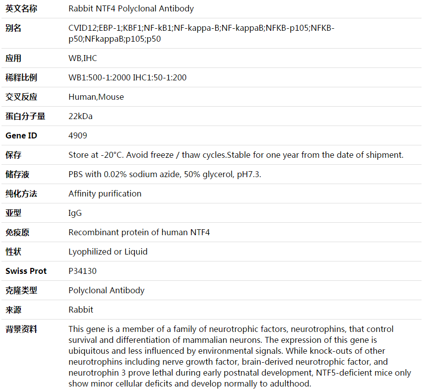 NTF4 Antibody,索莱宝,K003626P-100ul
