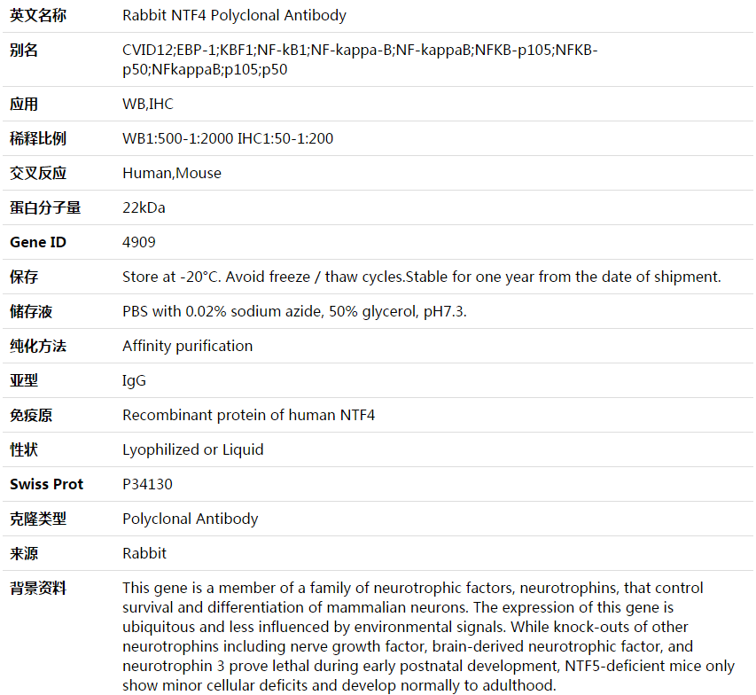 NTF4 Antibody,索莱宝,K003626P-30ul