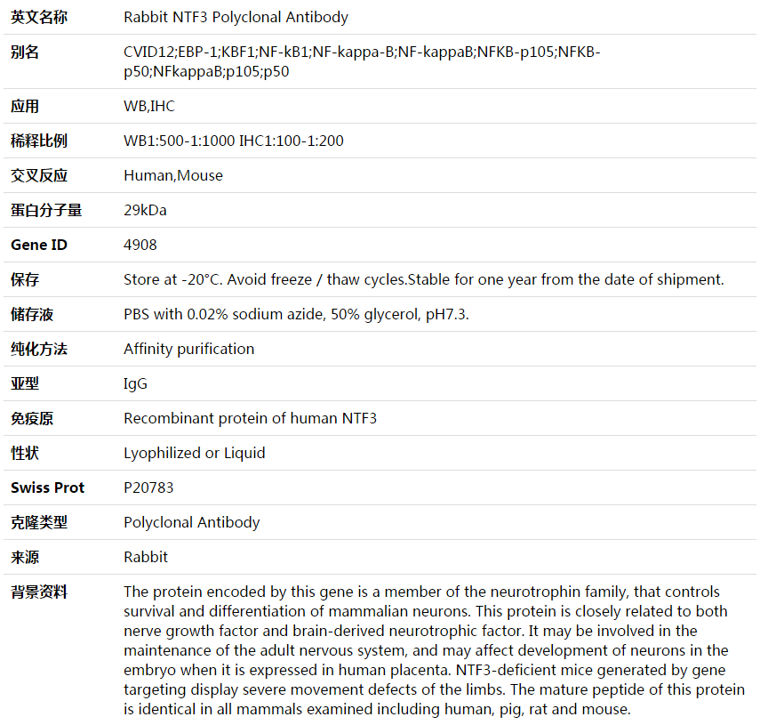 NTF3 Antibody,索莱宝,K003625P-50ul