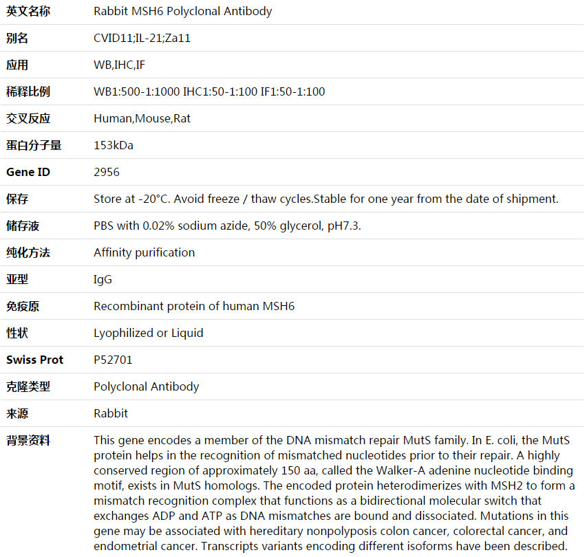 MSH6 Antibody,索莱宝,K003624P-100ul