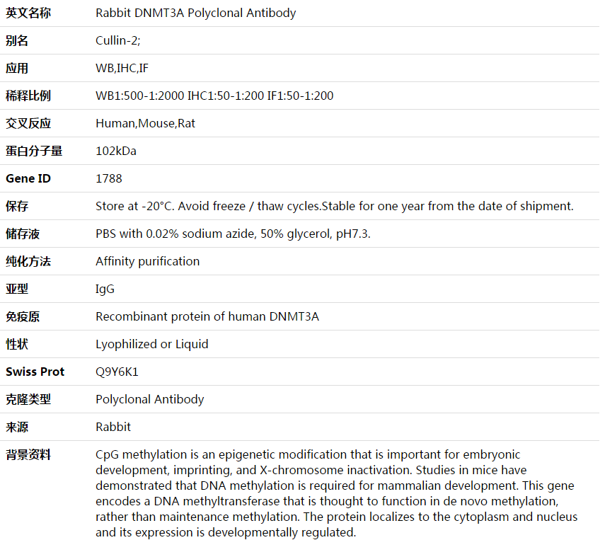 DNMT3A Antibody,索莱宝,K003621P-100ul