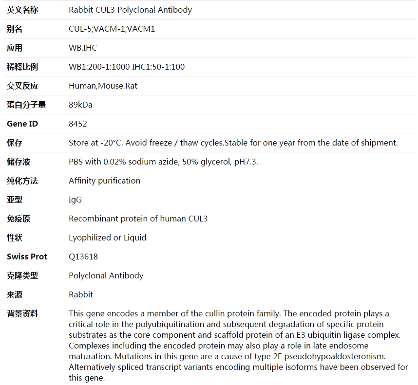 CUL3 Antibody,索莱宝,K003620P-100ul